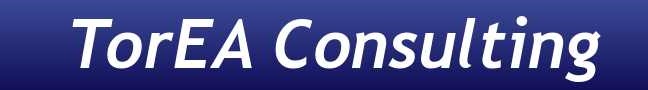 TorEA Consulting